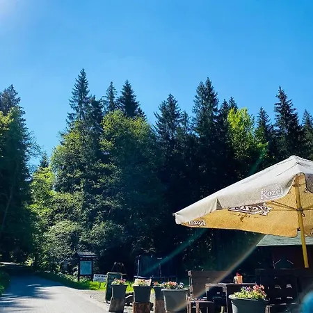 Lesni Zatisi- Guest house Harrachov