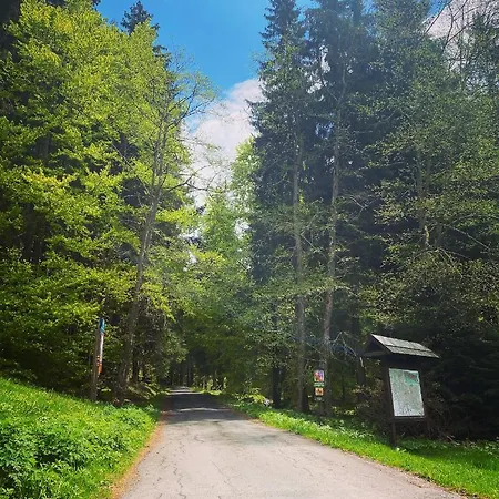 Lesni Zatisi- 3*