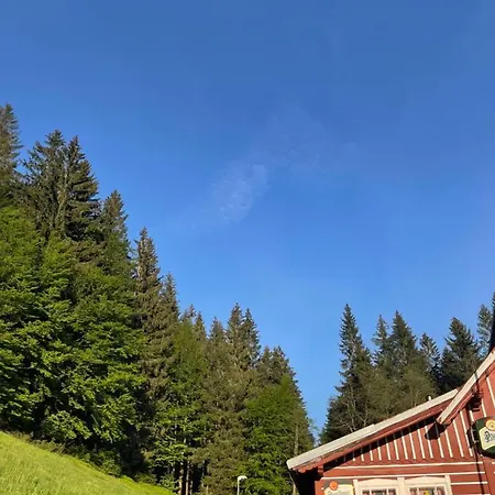 Lesni Zatisi- 3*