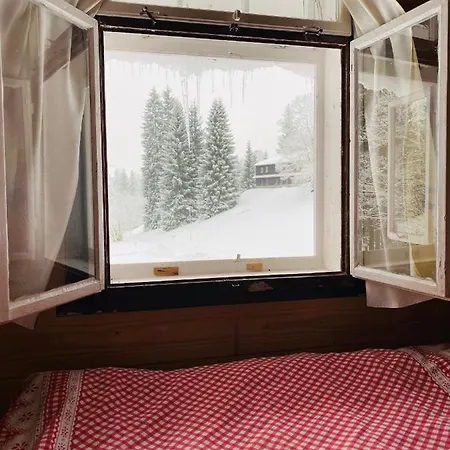 Lesni Zatisi- Harrachov